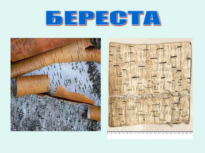 БЕРЕСТА