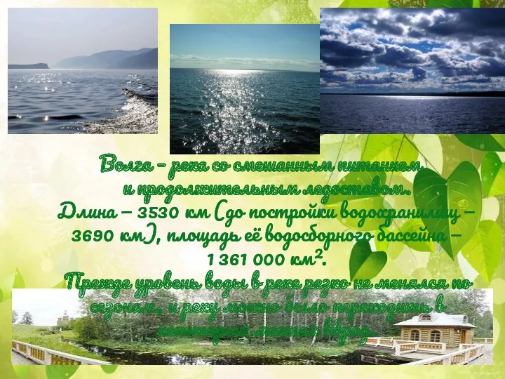 Волга – река со смешанным питанием и продолжительным ледоставом. Длина — 3530 км