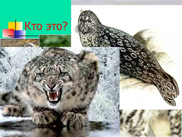 Кто это?