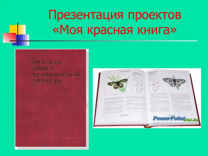 Презентация проектов «Моя красная книга»