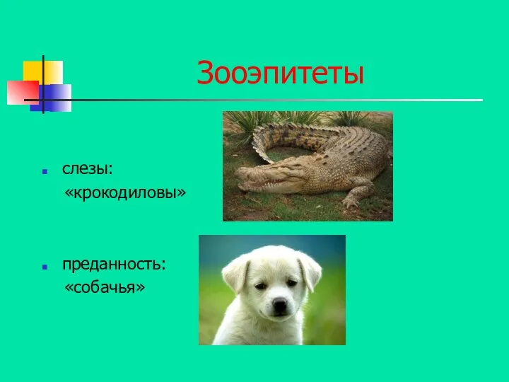 Зооэпитеты слезы: «крокодиловы» преданность: «собачья»