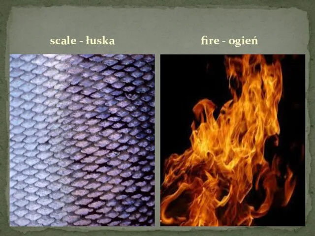 scale - łuska fire - ogień