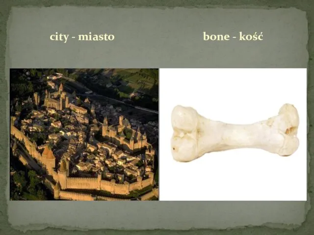city - miasto bone - kość