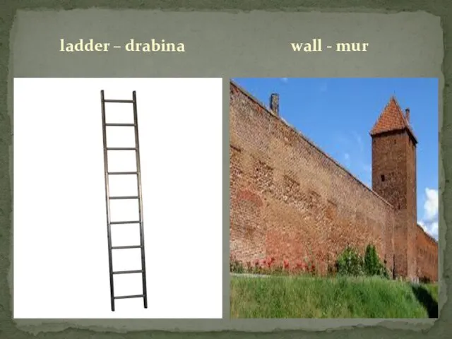 ladder – drabina wall - mur
