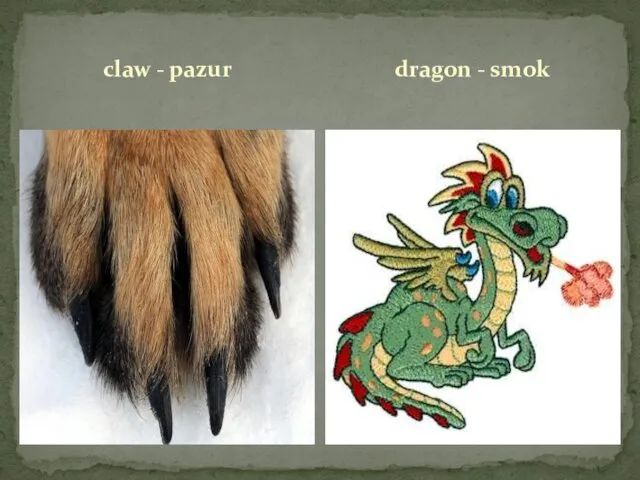 claw - pazur dragon - smok