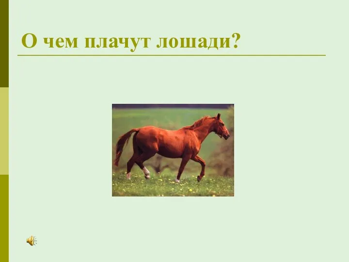 О чем плачут лошади?