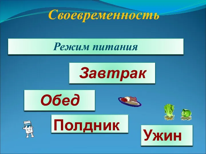 Своевременность Режим питания Завтрак Обед Полдник Ужин