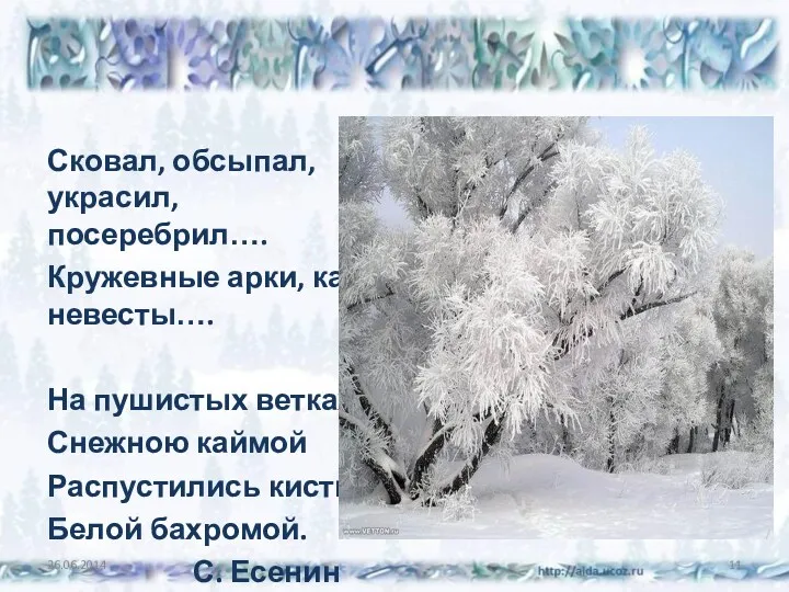 Сковал, обсыпал, украсил, посеребрил…. Кружевные арки, как невесты…. На пушистых