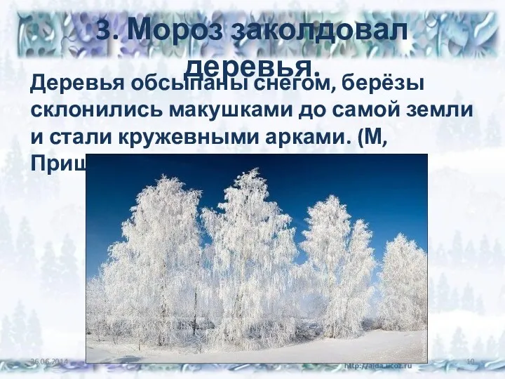 3. Мороз заколдовал деревья. Деревья обсыпаны снегом, берёзы склонились макушками
