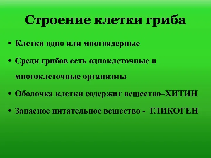 Строение клетки гриба Клетки одно или многоядерные Среди грибов есть