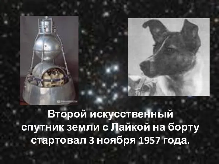 Второй искусственный спутник земли с Лайкой на борту стартовал 3 ноября 1957 года.