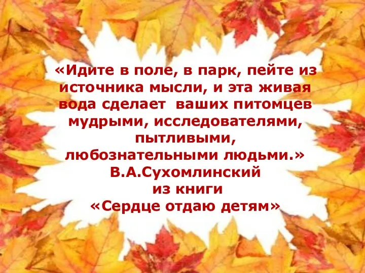 «Идите в поле, в парк, пейте из источника мысли, и эта живая вода