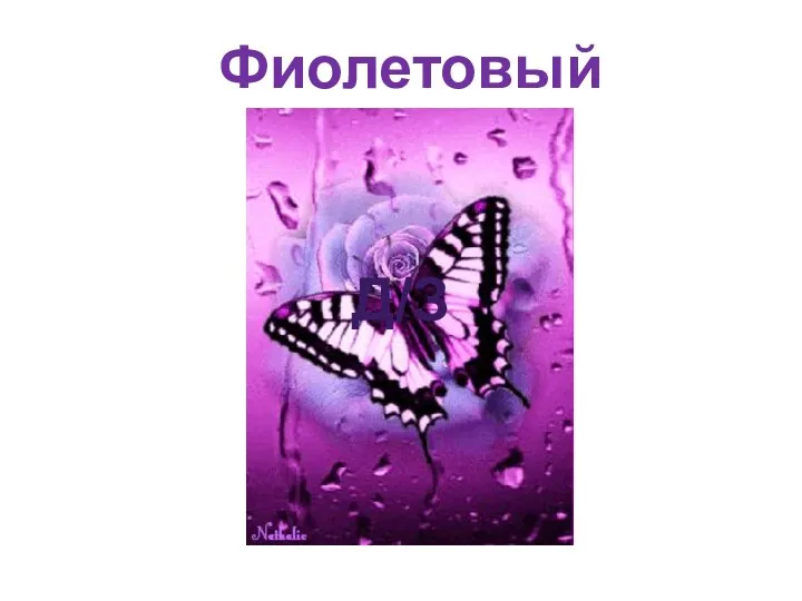 Фиолетовый Д/З