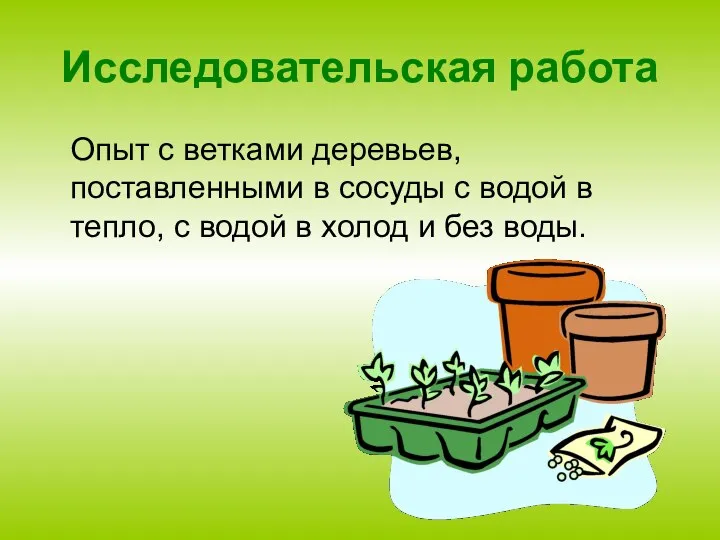 Исследовательская работа Опыт с ветками деревьев, поставленными в сосуды с