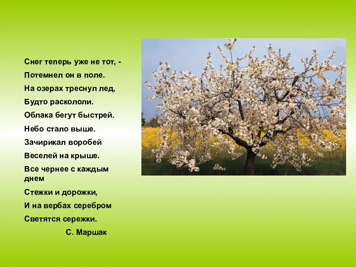 Снег теперь уже не тот, - Потемнел он в поле.