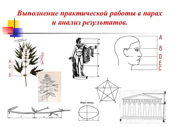 Выполнение практической работы в парах и анализ результатов.