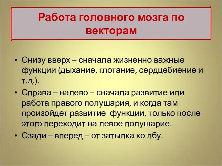 Снизу вверх – сначала жизненно важные функции (дыхание, глотание, сердцебиение и т.д.). Справа