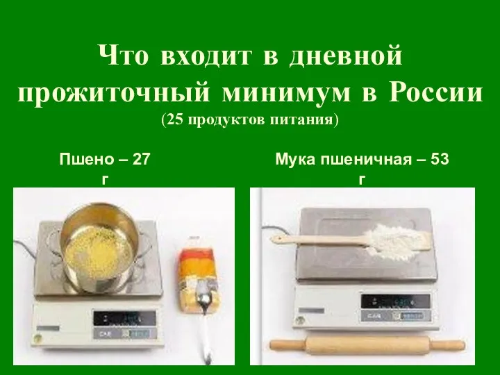 Что входит в дневной прожиточный минимум в России (25 продуктов