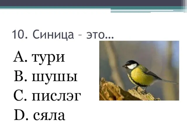 10. Синица – это… А. тури В. шушы С. пислэг D. сяла