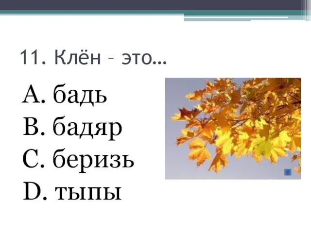 11. Клён – это… А. бадь В. бадяр С. беризь D. тыпы