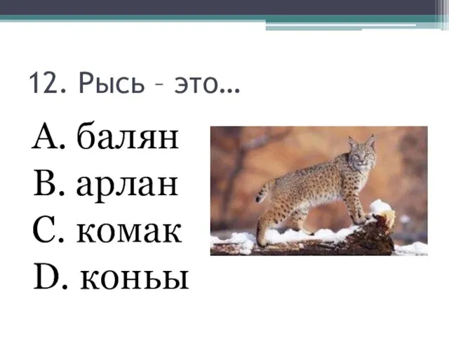 12. Рысь – это… А. балян В. арлан С. комак D. коньы