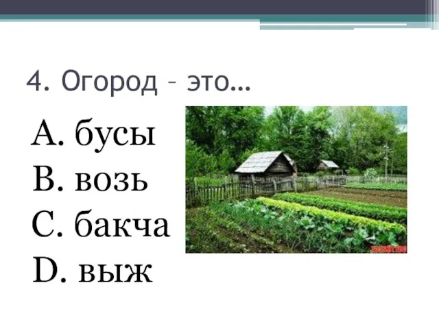 4. Огород – это… А. бусы В. возь С. бакча D. выж