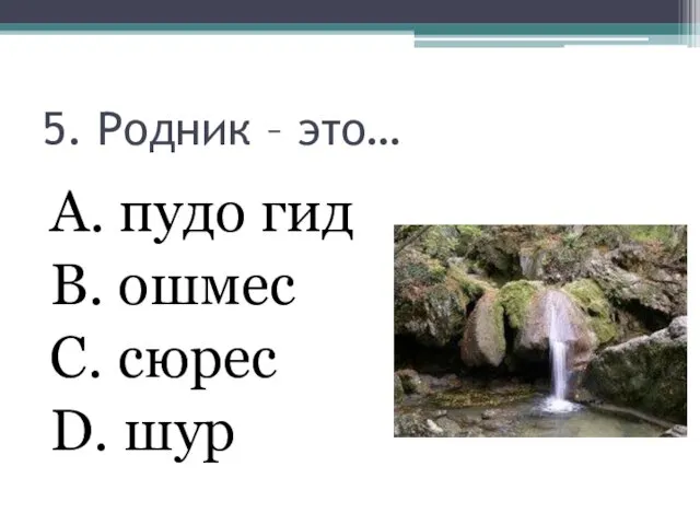 5. Родник – это… А. пудо гид В. ошмес С. сюрес D. шур