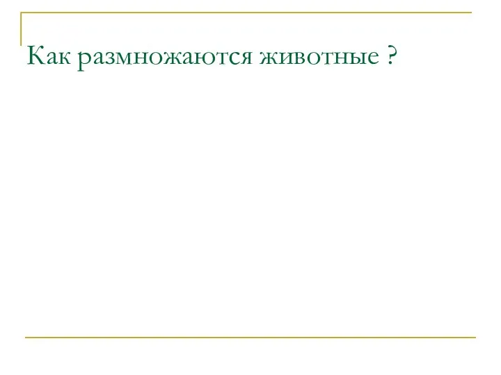 Как размножаются животные ?