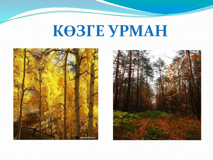 КӨЗГЕ УРМАН