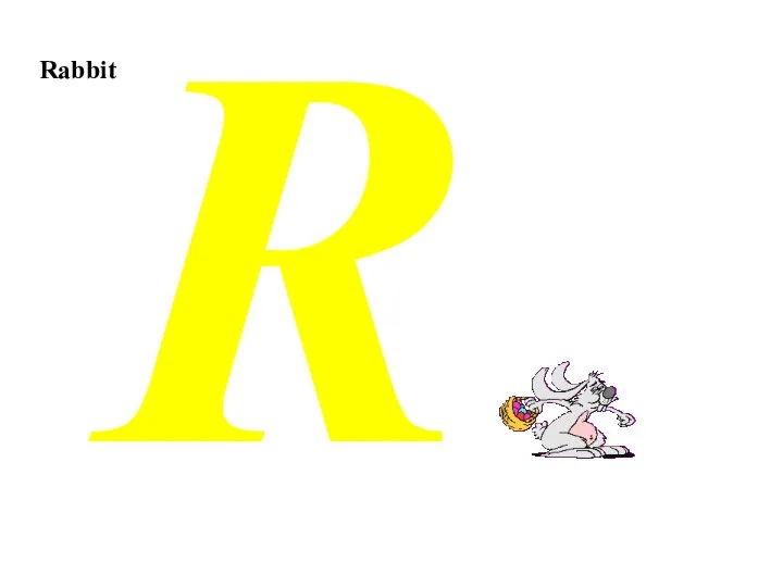 Rabbit R