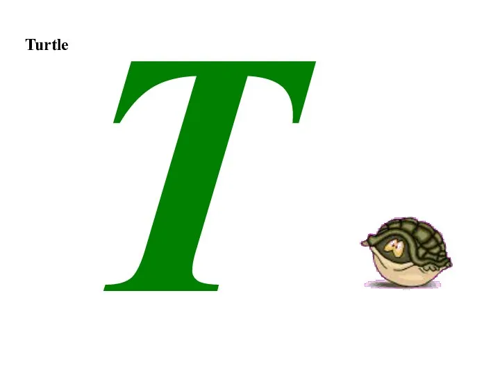Turtle T