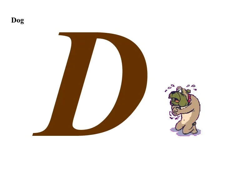 Dog D