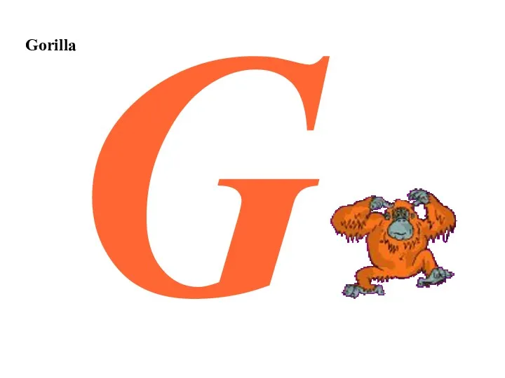 Gorilla G