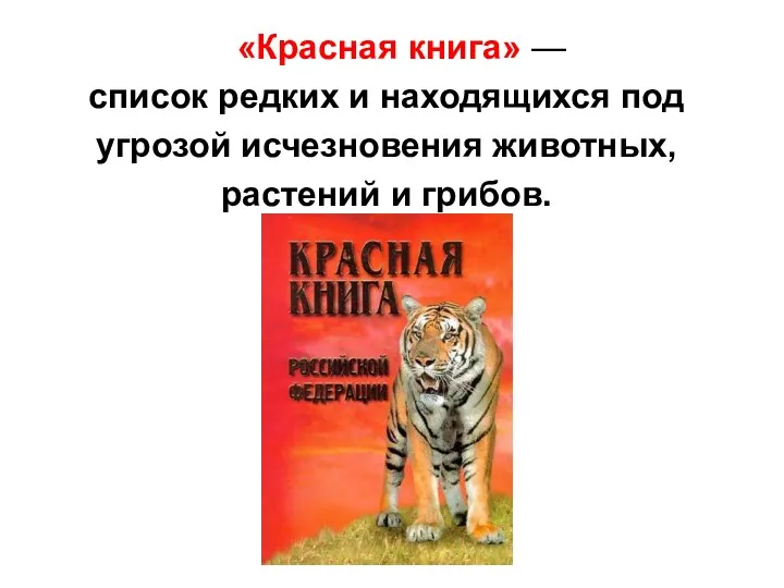 «Красная книга» — список редких и находящихся под угрозой исчезновения животных, растений и грибов.