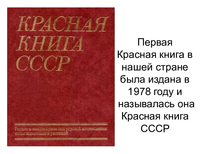 Первая Красная книга в нашей стране была издана в 1978 году и называлась