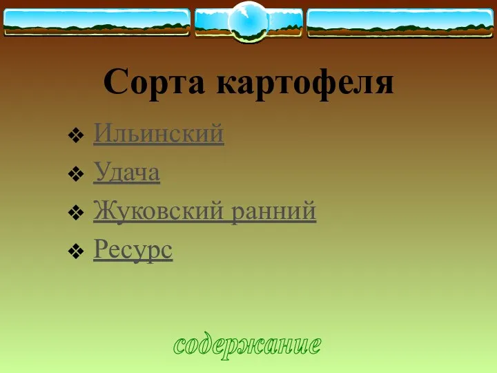 Сорта картофеля Ильинский Удача Жуковский ранний Ресурс содержание