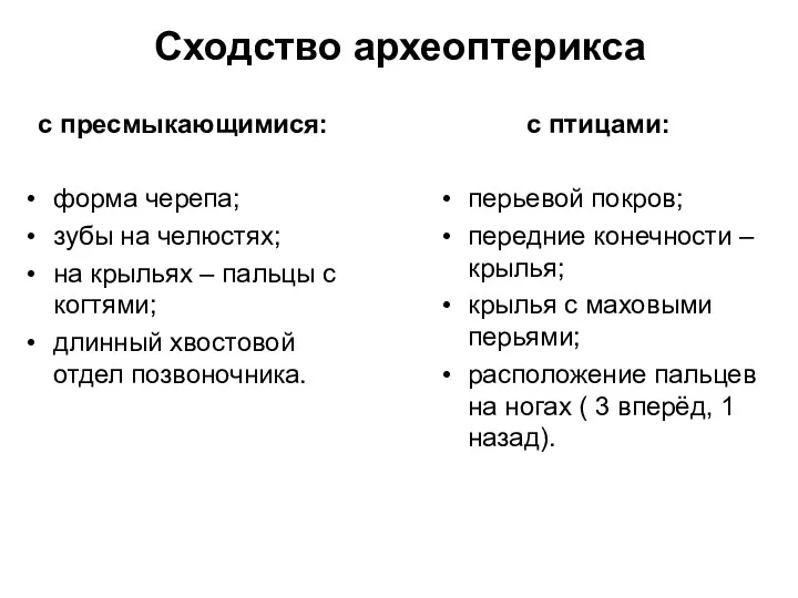 Сходство археоптерикса с пресмыкающимися: форма черепа; зубы на челюстях; на