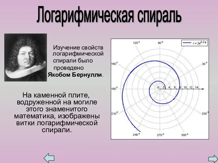 Изучение свойств логарифмической спирали было проведено Якобом Бернулли. На каменной