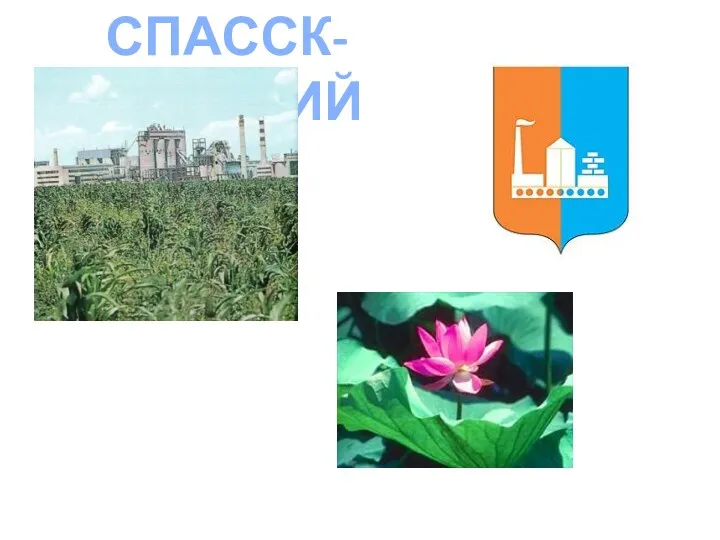 СПАССК-ДАЛЬНИЙ