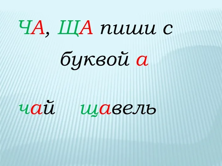 ЧА, ЩА пиши с буквой а чай щавель