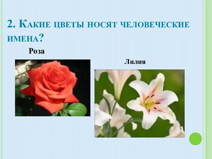 2. Какие цветы носят человеческие имена? Роза Лилия