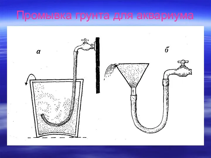 Промывка грунта для аквариума