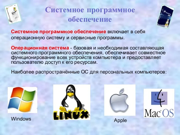 Системное программное обеспечение включает в себя операционную систему и сервисные