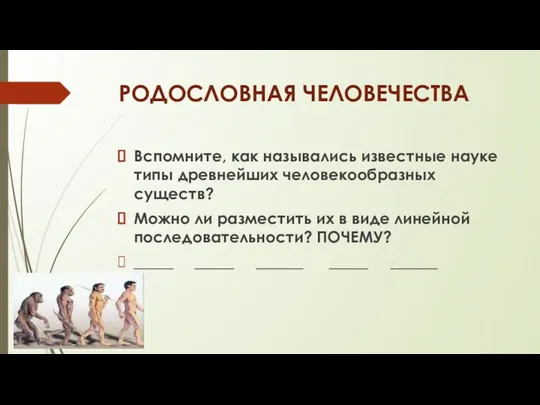 РОДОСЛОВНАЯ ЧЕЛОВЕЧЕСТВА Вспомните, как назывались известные науке типы древнейших человекообразных