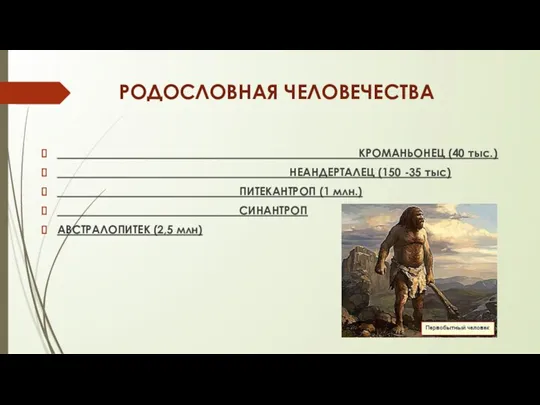 РОДОСЛОВНАЯ ЧЕЛОВЕЧЕСТВА КРОМАНЬОНЕЦ (40 тыс.) НЕАНДЕРТАЛЕЦ (150 -35 тыс) ПИТЕКАНТРОП (1 млн.) СИНАНТРОП АВСТРАЛОПИТЕК (2,5 млн)