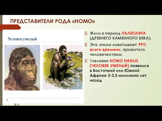 ПРЕДСТАВИТЕЛИ РОДА «HOMO» Жили в период ПАЛЕОЛИТА (ДРЕВНЕГО КАМЕННОГО ВЕКА).