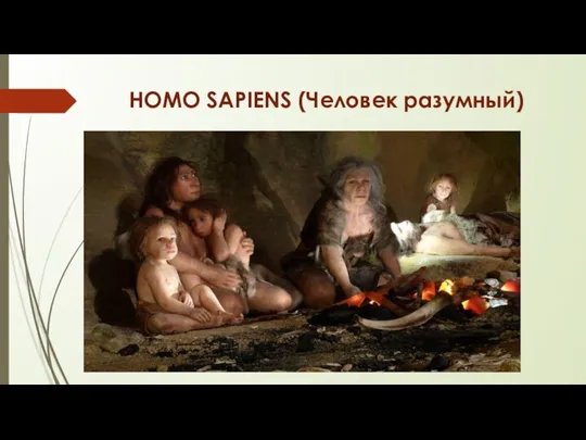 HOMO SAPIENS (Человек разумный)