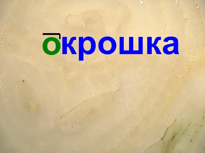 крошка о