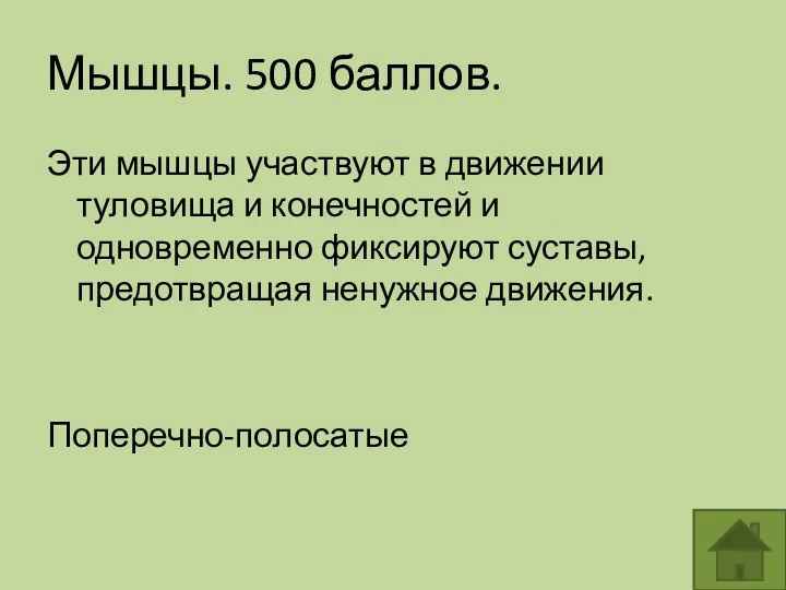 Мышцы. 500 баллов. Эти мышцы участвуют в движении туловища и