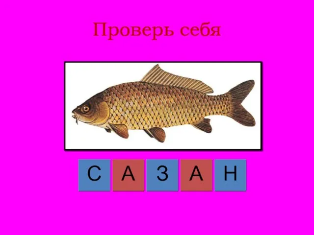 Проверь себя С А А З Н